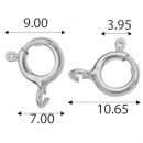 Silver lobster: AM 7.01 TNMA