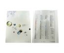 Color charts-Flat back