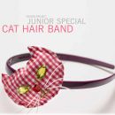Cat hair band