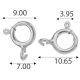 Silver lobster: AM 7.01 TNMA
