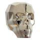 Skull 19mm: Metal Light Gold 2X